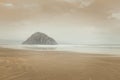 Tranquil morning on the beach of Morro Bay, California Royalty Free Stock Photo