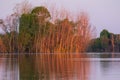 Tranquil morning on Lake Erie