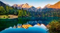 Tranquil morning scene of Fusine lake. Captivating summer sunrise in Julian Alps with Mangart peak on background, Province of Udin Royalty Free Stock Photo