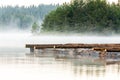 Tranquil mountain lake scene with pine trees