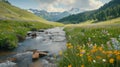 Tranquil mountain stream: nature\'s blossoming beauty