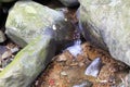 Tranquil mountain stream Royalty Free Stock Photo