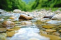 Tranquil natural stream with clear flowing water and smooth stones in lush greenery Royalty Free Stock Photo
