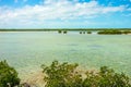 Tranquil nature in florida keys