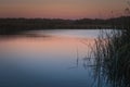 Tranquil night scene, lake and rushes at the edge of lake. Sunset over water Royalty Free Stock Photo
