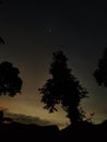 Tranquil Night Sky with Silhouetted Tree and Moonlight