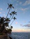 Tranquil Ocean Path: Makalei Beach Park at Dusk, Oahu, Hawaii Royalty Free Stock Photo