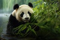 Tranquil Panda with bamboo zoo. Generate Ai