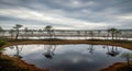Serene Bog Landscape with Reflecting Water and Sparse Trees Under a Cloudy Sky Royalty Free Stock Photo