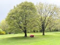 Tranquil park scene with red bench under lush green trees Royalty Free Stock Photo