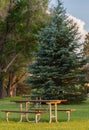 Tranquil Park Table Amidst Lush Green Foliage Royalty Free Stock Photo