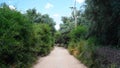 Tranquil Path Through Lush Greenery â Taroudant, Morocco\