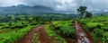 Serene Path Through Lush Tea Plantations Under a Stormy Sky, Blending Cultivated Landscapes with Dramatic Natural Beauty Royalty Free Stock Photo