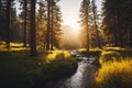 Tranquil peaceful forest landscape with water stream in summer sunset