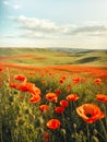 Tranquil peaceful landscape with red poppies. Beauty of nature background Royalty Free Stock Photo
