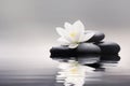 A tranquil photo of a white lotus blossom, reflecting in still water, creating an atmosphere of zen for massage or meditation