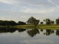 Tranquil Pond