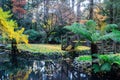 Tranquil pond in an autumn forest in the Dandenong Ranges, Australia