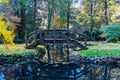 Tranquil pond in an autumn forest in the Dandenong Ranges, Australia