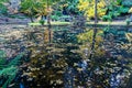 Tranquil pond in an autumn forest in the Dandenong Ranges, Australia