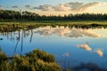 Tranquil pond, boreal forest, sunset Royalty Free Stock Photo