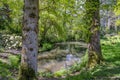 Tranquil pond in an English landscape garden in Spring on a sunny day in uk Royalty Free Stock Photo