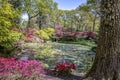 Tranquil pond in an English landscape garden in Spring