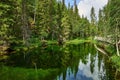 Tranquil pond with lush green foliage near Isokuru Lapp Hut in Pya Luosto National Park Royalty Free Stock Photo