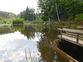 pond and wooden pier