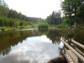 pond and wooden pier