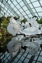 Tranquil pond surrounded by lush garden is the backdrop for a captivating display of glass sculpture