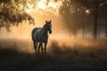 Tranquil Portrait Of Horse At Sunset Against Trees