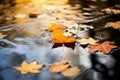 A tranquil reflection of autumn leaves on the surface of a calm pond Royalty Free Stock Photo