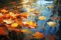 A tranquil reflection of autumn leaves on the surface of a calm pond Royalty Free Stock Photo