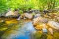 Tranquil Retreat Shallow Stream and Pebbles in the Deep Green Forest