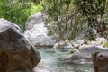 Tranquil river flowing between large white boulders, viewed through overhanging olive branches, in a serene woodland.