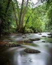 Portrait of meandering river through Dartmoor