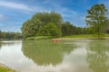 Tranquil river meandering through dense forest under serene sky with fluffy clouds, creating a peaceful natural landscape perfect Royalty Free Stock Photo