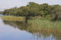 Tranquil river scene