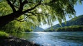 A tranquil river scene with a large tree casting a shadow on the water's surface. Royalty Free Stock Photo