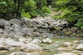 Tranquil river and stones Royalty Free Stock Photo