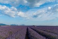 tranquil rural scene with blooming lavender field and mountains