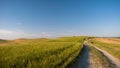 Tranquil rural scene with a dirt road winding its way through a green field Royalty Free Stock Photo