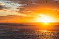 Tranquil scene, amazing golden sunset over the Pacific ocean and silhouette of flying birds. Royalty Free Stock Photo