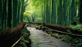 Tranquil scene of bamboo grove in Japanese culture generated by AI