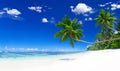 Tranquil Scene Beach with Palm Tree Royalty Free Stock Photo