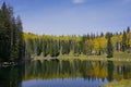 Cabin by a pond surrounded by fall color