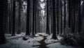 Tranquil scene of coniferous trees in winter, beauty in nature generated by AI