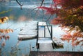 Tranquil scene of dock water and group of boats in autumn