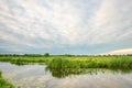 View of Dutch polder landscape Royalty Free Stock Photo